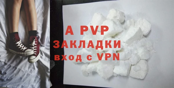мяу мяу мука Абаза