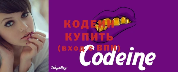 мяу мяу мука Абаза