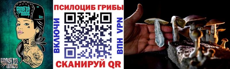 Псилоцибиновые грибы MAGIC MUSHROOMS  Яхрома 